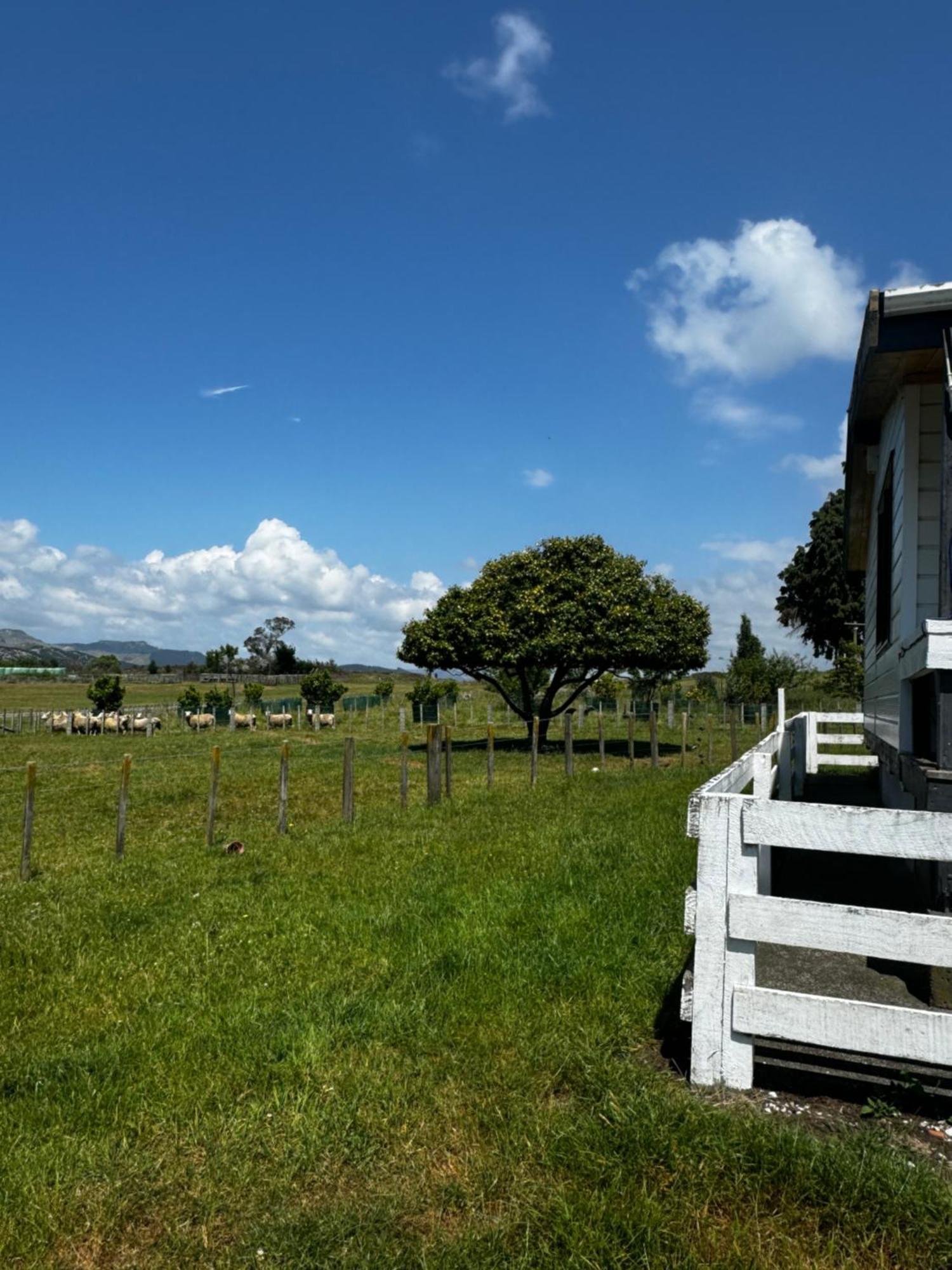 Lockwood Country House Retreat Putorino 외부 사진